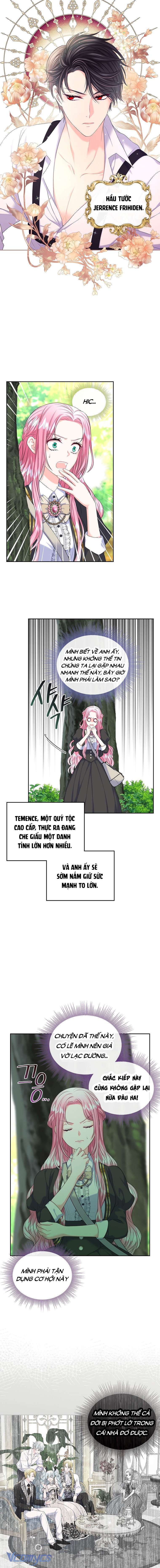 Tôi sẽ ly hôn với anh trai nữ chính Chap 5 - Trang 2