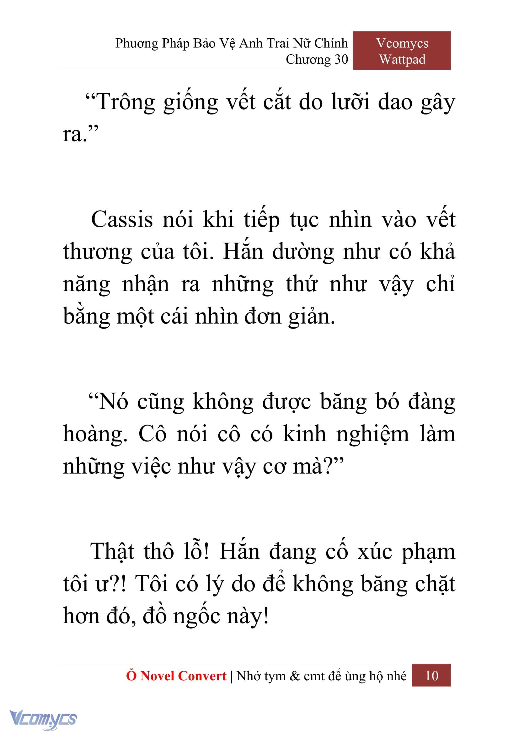 [Novel] Phương Pháp Bảo Vệ Anh Trai Nữ Chính Chap 30 - Trang 2