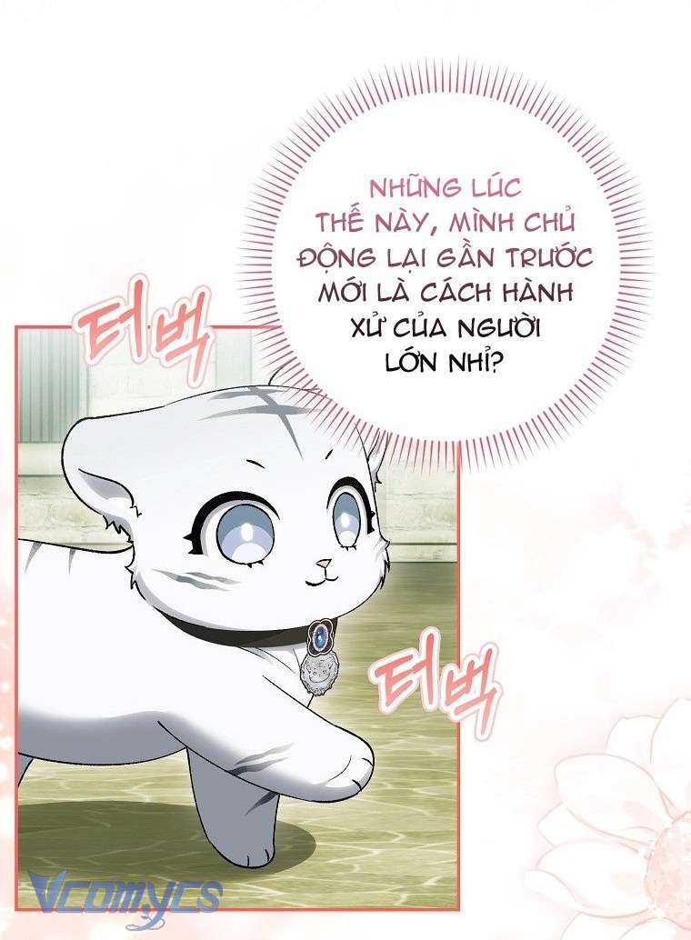 Công Chúa Bạch Hổ Không Có Nguy Hiểm Nha! Chap 19 - Trang 2