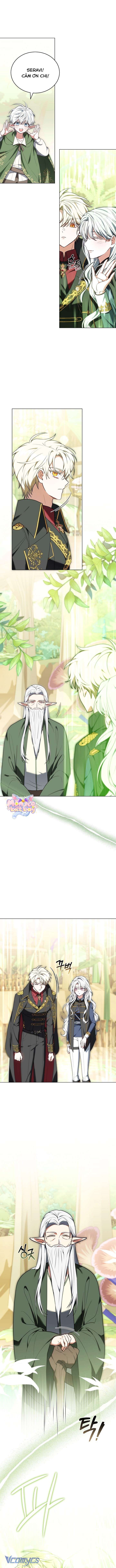 Tiểu Thư Là Kẻ Bám Đuôi Chap 8 - Next Chap 9