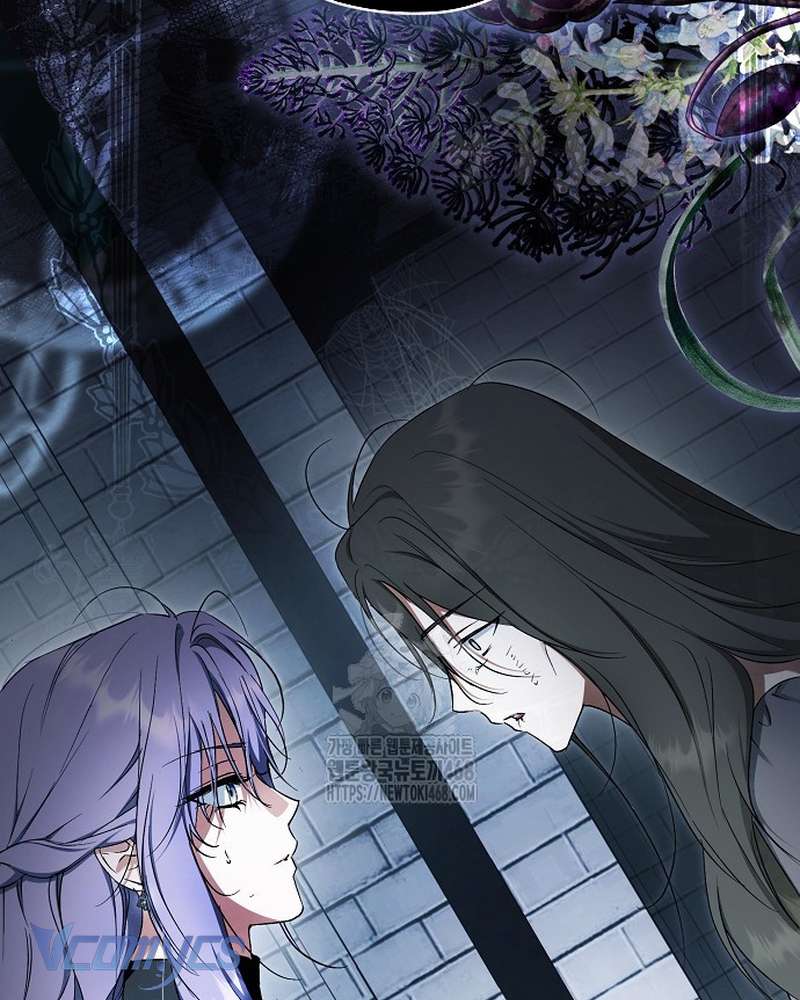 Các Nam Chính Đã Bị Nữ Phụ Cướp Mất Chap 69 - Trang 2