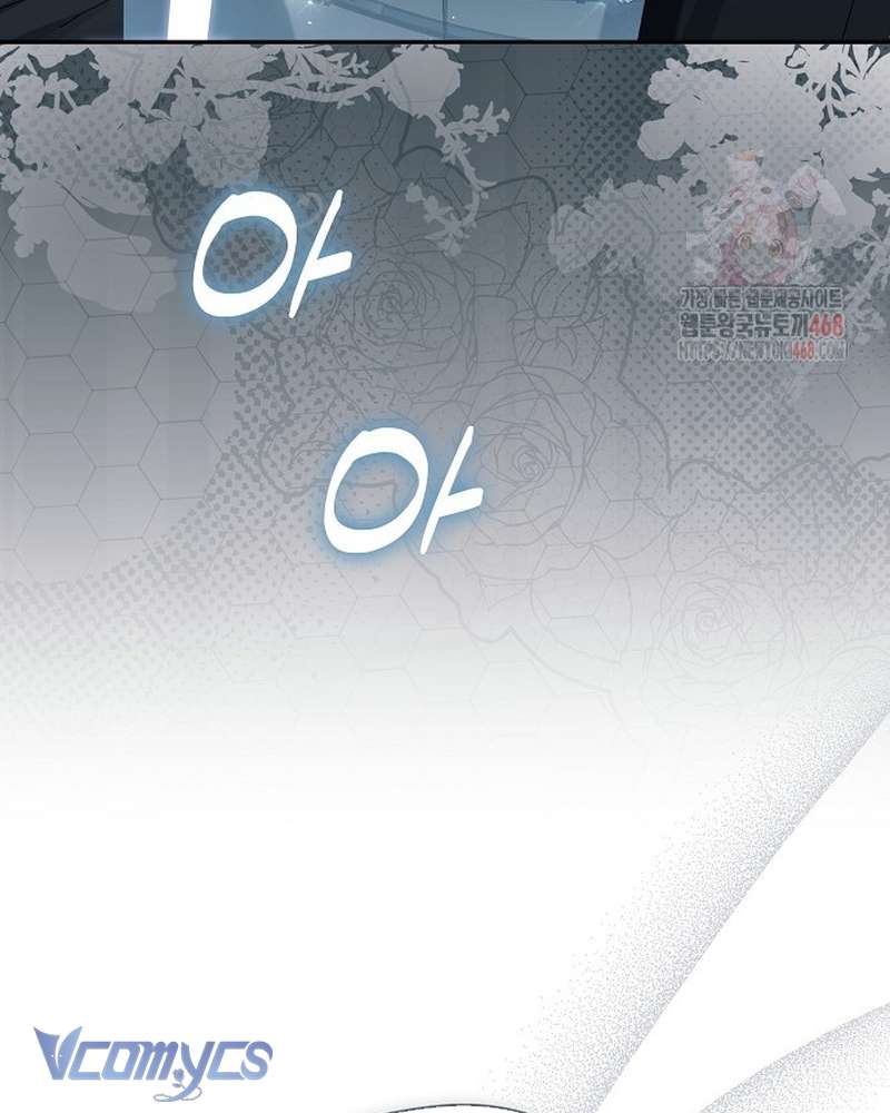 Các Nam Chính Đã Bị Nữ Phụ Cướp Mất Chap 63 - Trang 2