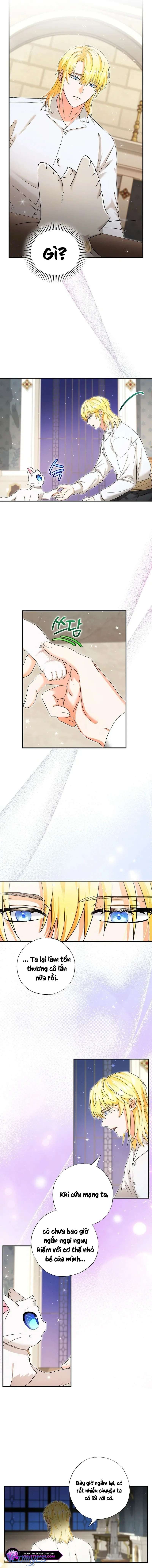 Trở Thành Miêu Nữ Của Hoàng Đế Chap 36 - Trang 4