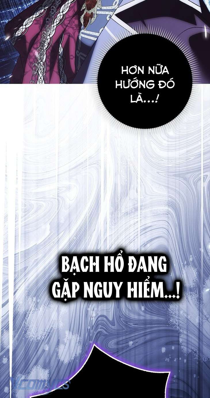 Công Chúa Bạch Hổ Không Có Nguy Hiểm Nha! Chap 11 - Trang 2
