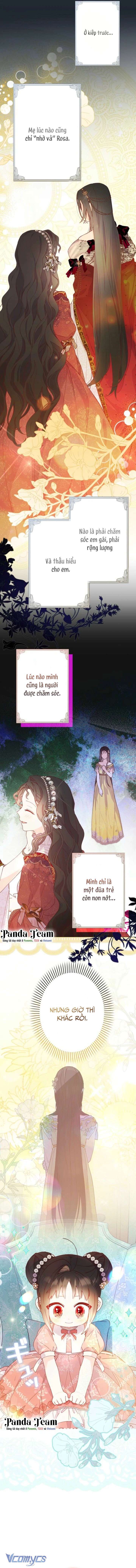 Kiếp Này Em Sẽ Không Sống Dưới Cái Bóng Của Người Chị Song Sinh Chap 12 - Trang 3