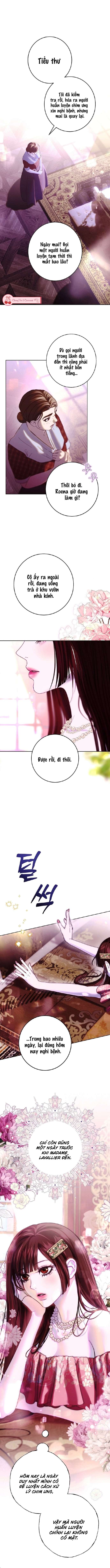 Những Mảnh Vỡ Của Giấc Mộng Thủy Tinh Chap 23 - Trang 2