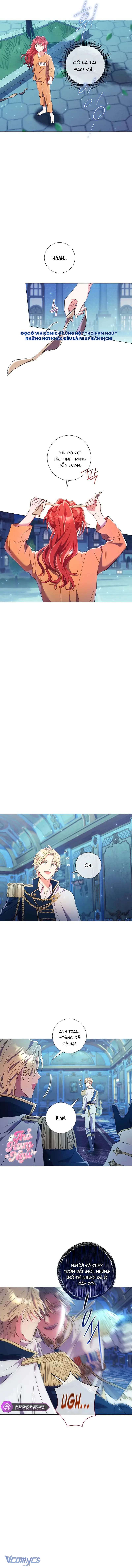 Sao Tôi Có Thể Li Hôn Khi Còn Chưa Kết Hôn Đây, Thưa Bệ Hạ Chap 13 - Trang 2