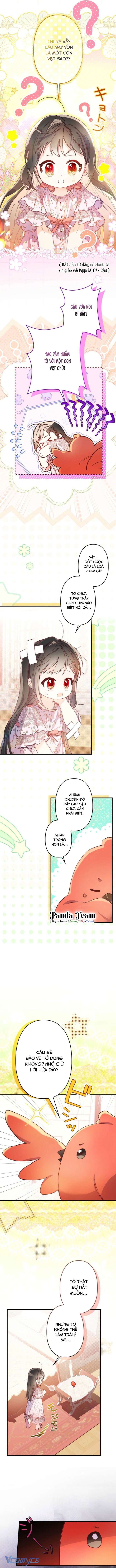 Kiếp Này Em Sẽ Không Sống Dưới Cái Bóng Của Người Chị Song Sinh Chap 11 - Trang 3