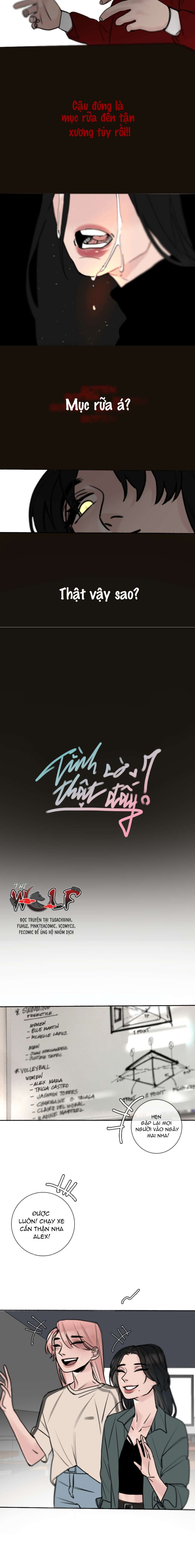 Tình Cờ Thật Đấy Chap 32 - Trang 3