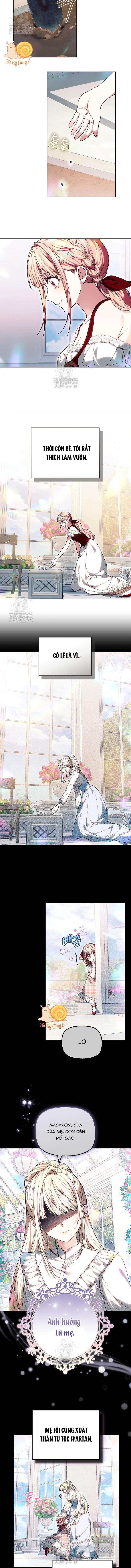 Tiểu Thư Mạnh Mẽ Muốn Trở Nên Yếu Đuối Chap 27 - Trang 2