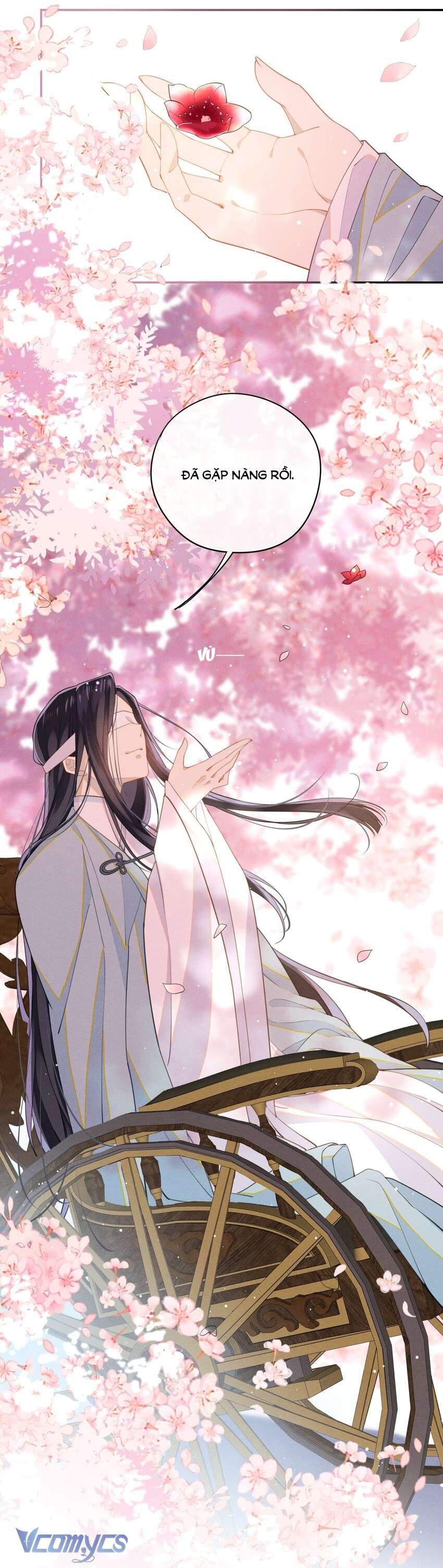 Đại Lão Phải Gả Cho Phu Quân Mù! Chap 3 - Trang 2