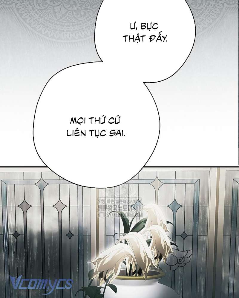 Các Nam Chính Đã Bị Nữ Phụ Cướp Mất Chap 70 - Trang 2