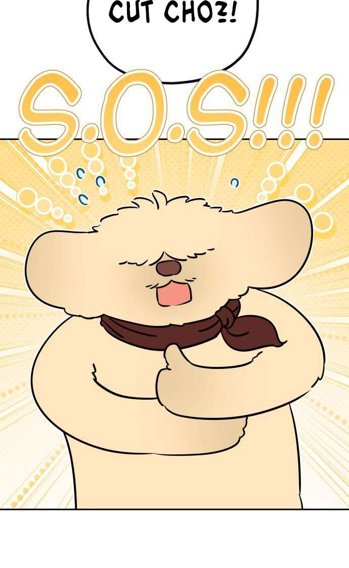 Trận Đấu Đồng Đội Của Những Tài Xế Xe Tải Chap 27 - Trang 4