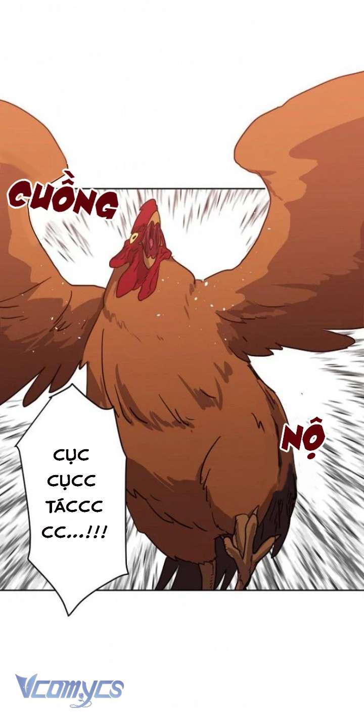 CHITRA Chapter 50 - Trang 4