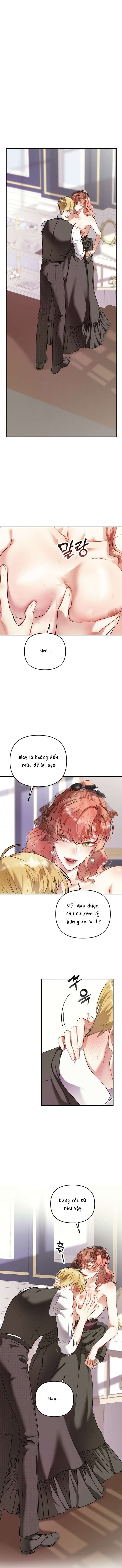 [ 18+ ] Lễ Tang Của Hầu Tước Meitner Chap 2 - Trang 2