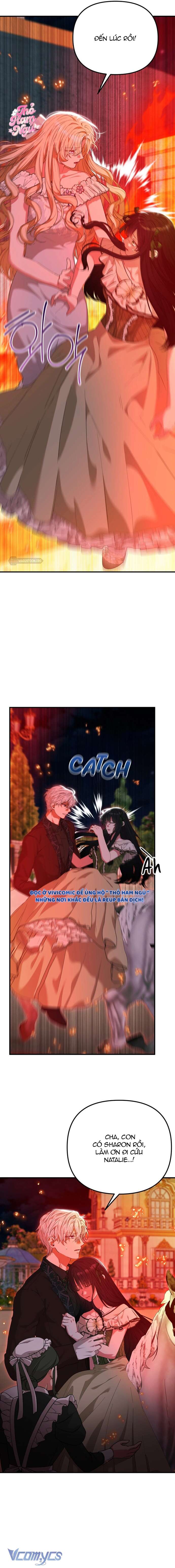 Tôi Không Thích Thể Loại Harem Ngược Này Chap 8 - Trang 4