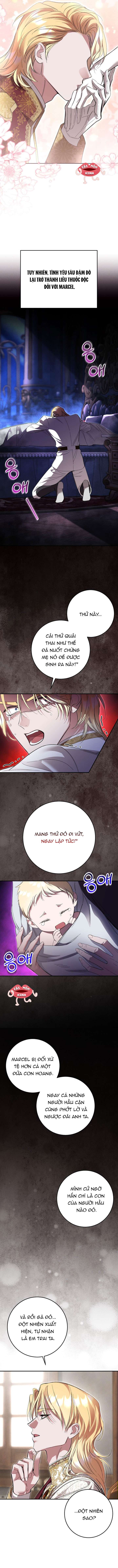 Cuộc Hôn Nhân Bị Bắt Cóc Xuyên Thời Gian Của Hoàng Hậu Chap 55 - Trang 2