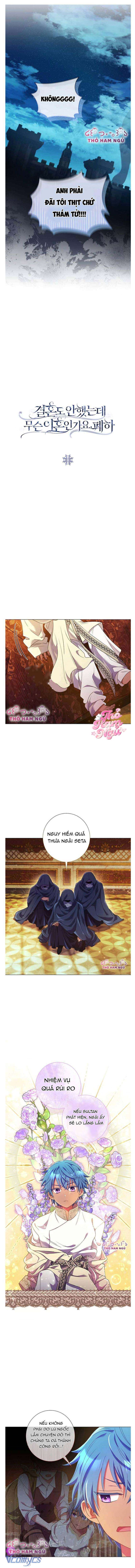 Sao Tôi Có Thể Li Hôn Khi Còn Chưa Kết Hôn Đây, Thưa Bệ Hạ Chap 11 - Trang 2