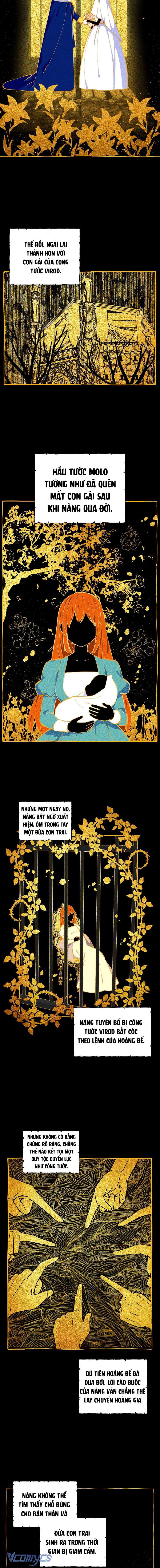 Tôi sẽ ly hôn với anh trai nữ chính Chap 6 - Trang 2