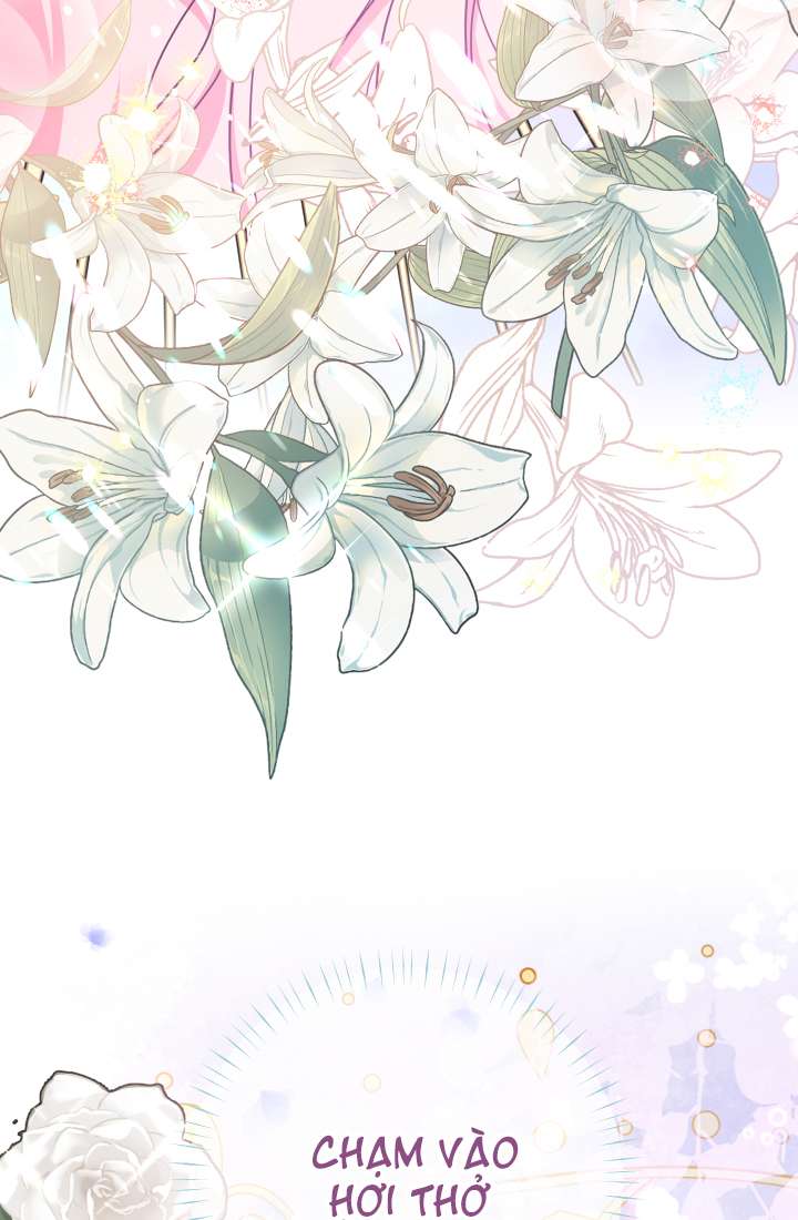 [PNT] Tiểu Thư Tích Tiền Đi Bụi Chap 17 - Trang 2