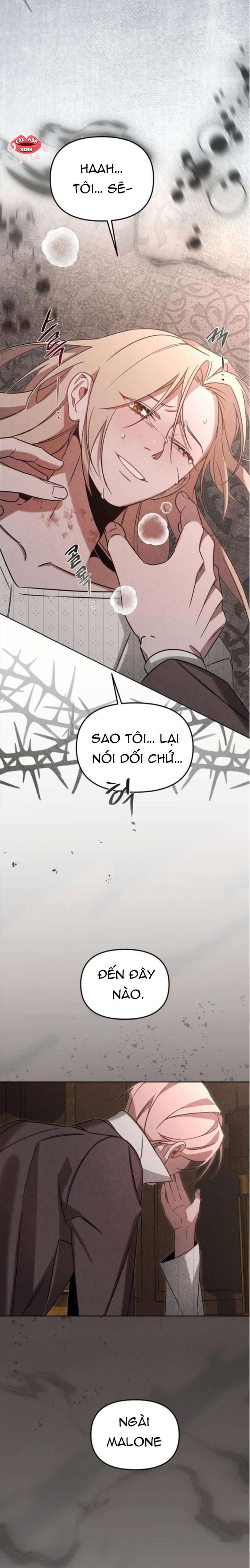 Nơi Đóa Hồng Vàng Úa Tàn Chap 21 - Trang 2