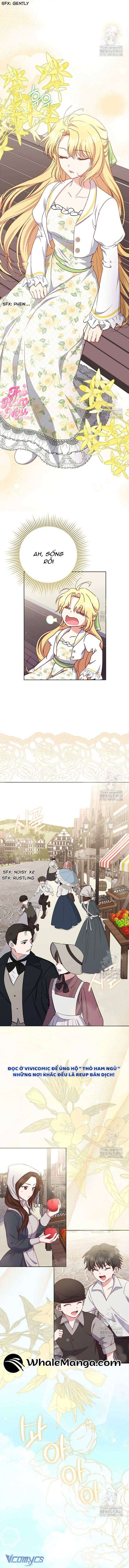 Nàng Vịt Chờ Ngày Hủy Hôn Chap 19 - Trang 2