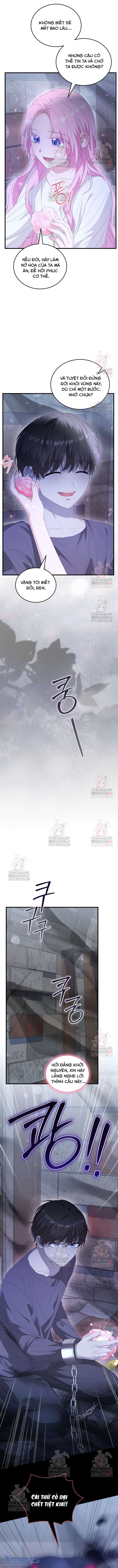 Nàng Tiên, Hãy Ký Hợp Đồng Nào Chap 70 - Trang 4