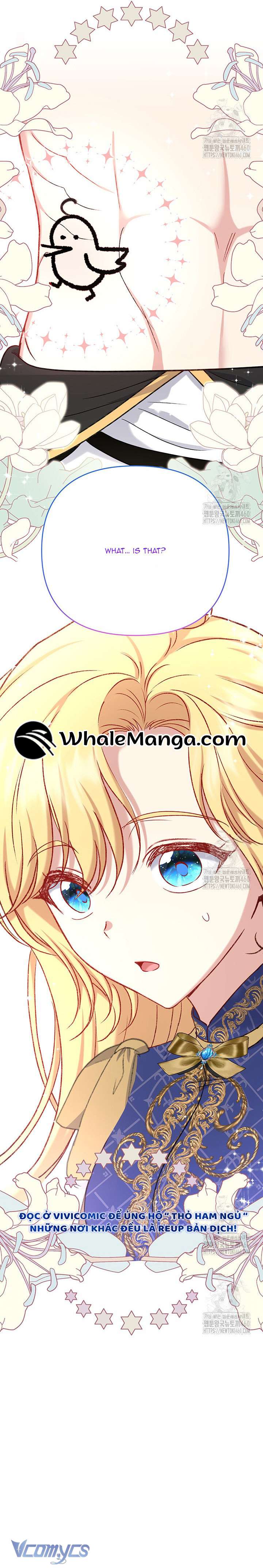 Nàng Vịt Chờ Ngày Hủy Hôn Chap 17 - Trang 2