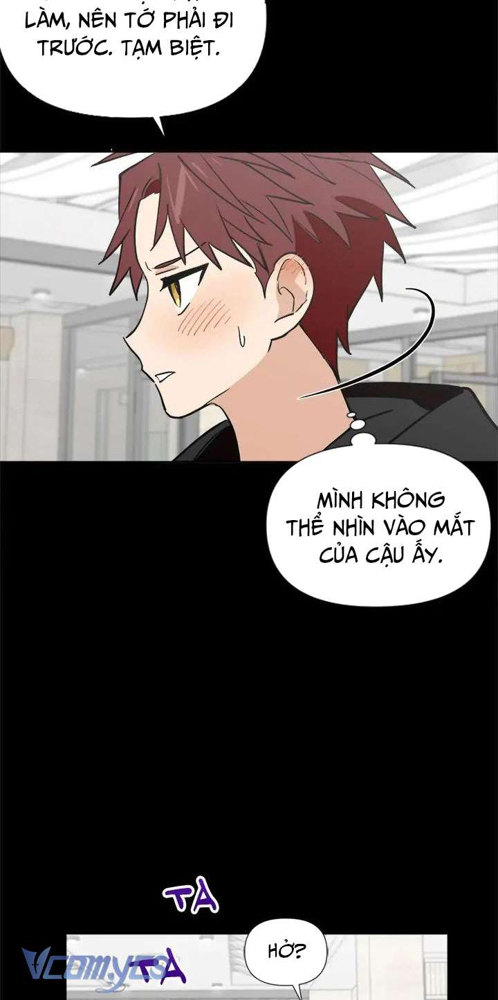 Điều Ước Sao Băng Chapter 44 - Trang 4