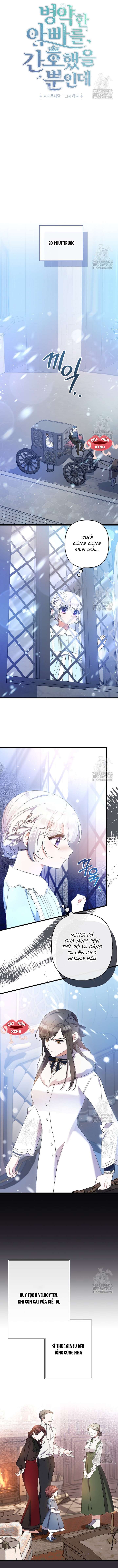 Tôi Chỉ Định Chăm Sóc Người Cha Ốm Yếu Của Mình Thôi Mà Chap 7 - Trang 3