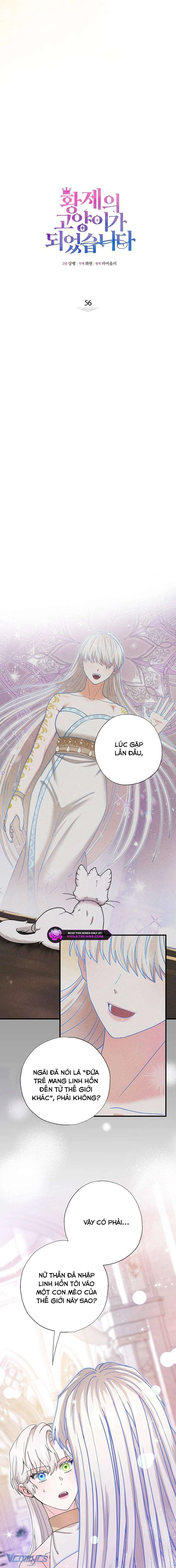 Trở Thành Miêu Nữ Của Hoàng Đế Chap 56 - Trang 3