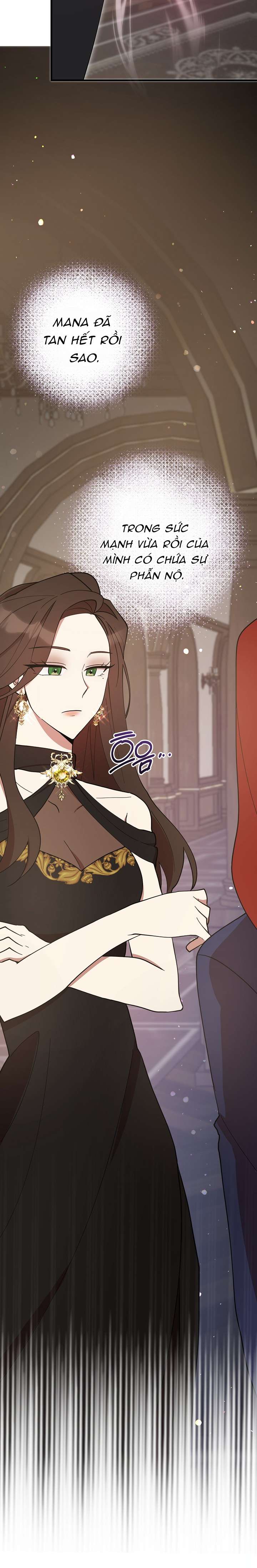 Tôi Đã Vô Tình Quyến Rũ Em Trai Của Nam Chính Chap 52 - Trang 3