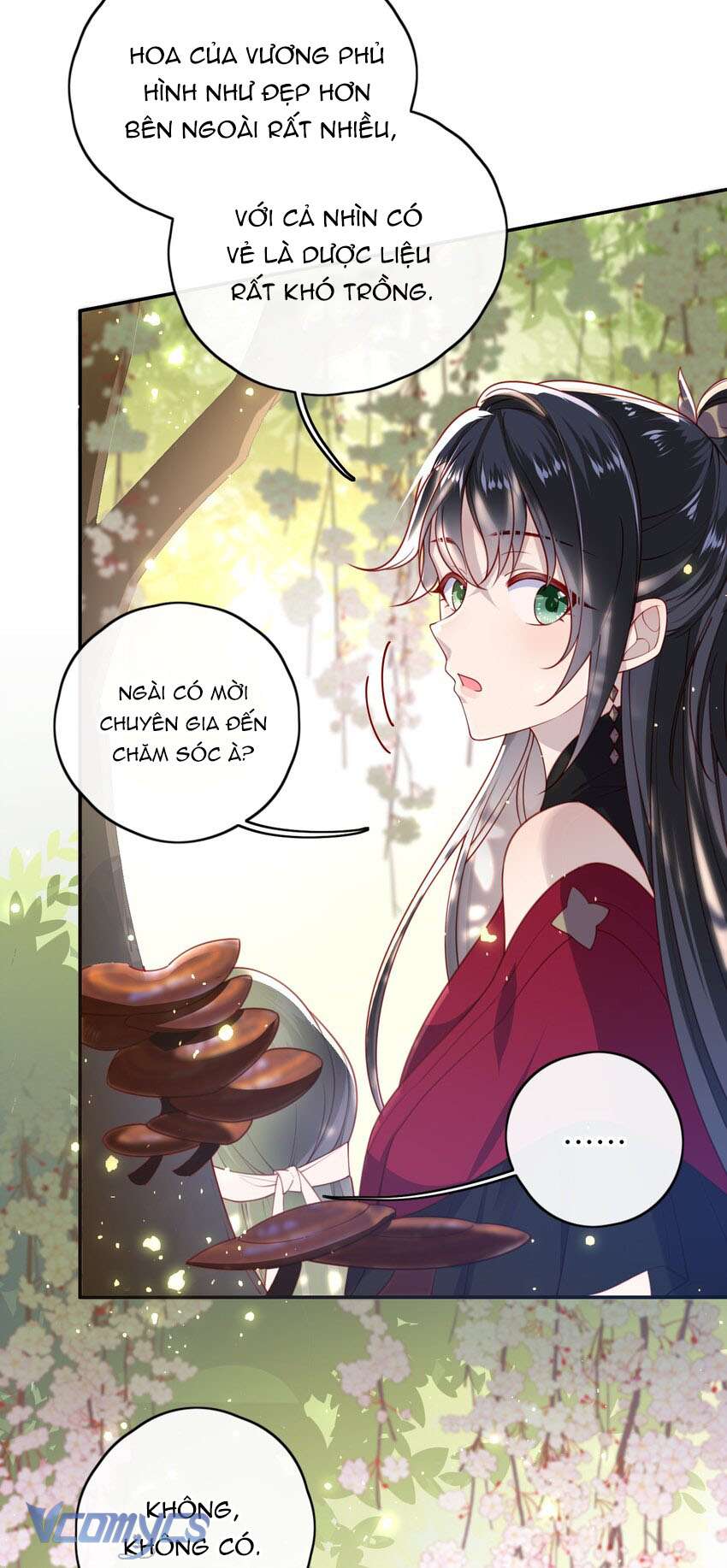 Đại Lão Phải Gả Cho Phu Quân Mù! Chap 12 - Trang 2