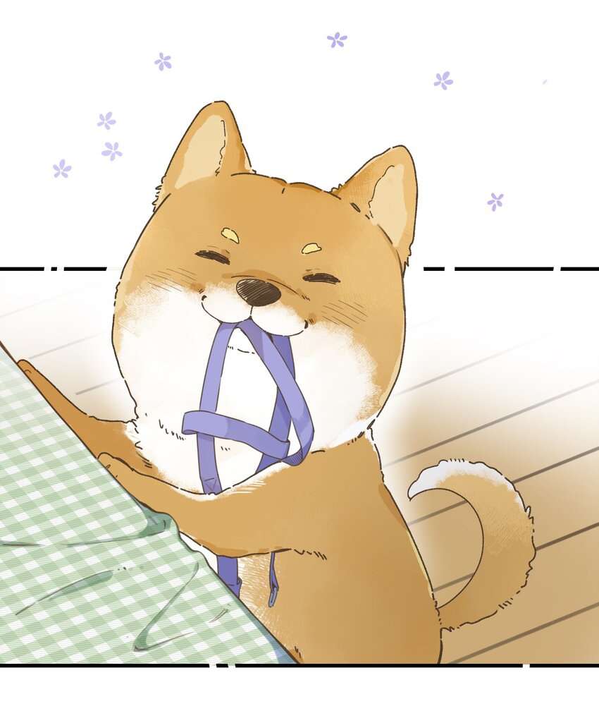 Ánh Sao Phiêu Linh Trong Nước Chap 77 - Trang 4