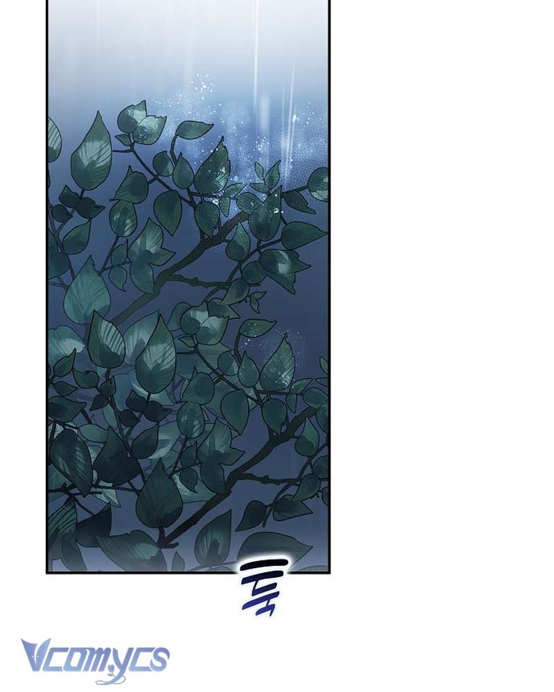 Các Nam Chính Đã Bị Nữ Phụ Cướp Mất Chap 70 - Trang 2