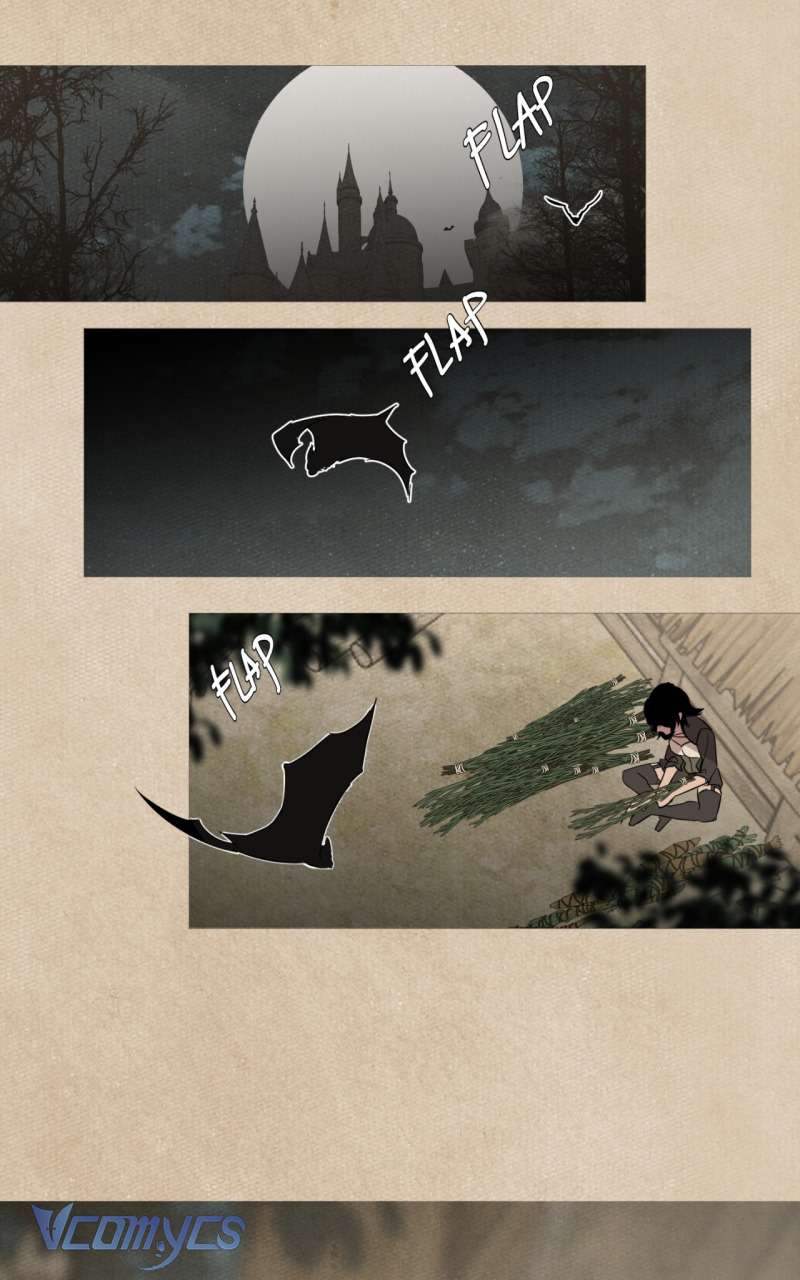 Vampire gặp thợ săn Chap 7 - Trang 3