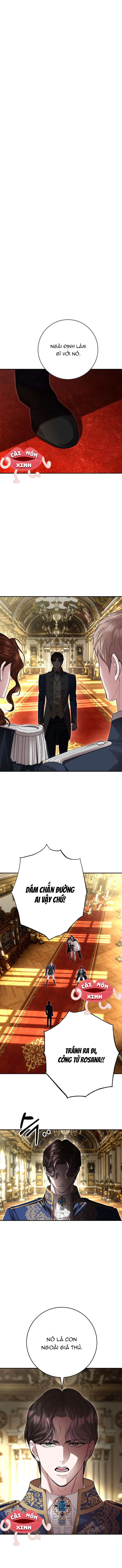 Cuộc Hôn Nhân Bị Bắt Cóc Xuyên Thời Gian Của Hoàng Hậu Chap 26 - Trang 3