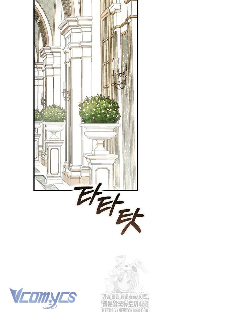 Các Nam Chính Đã Bị Nữ Phụ Cướp Mất Chap 68 - Trang 2