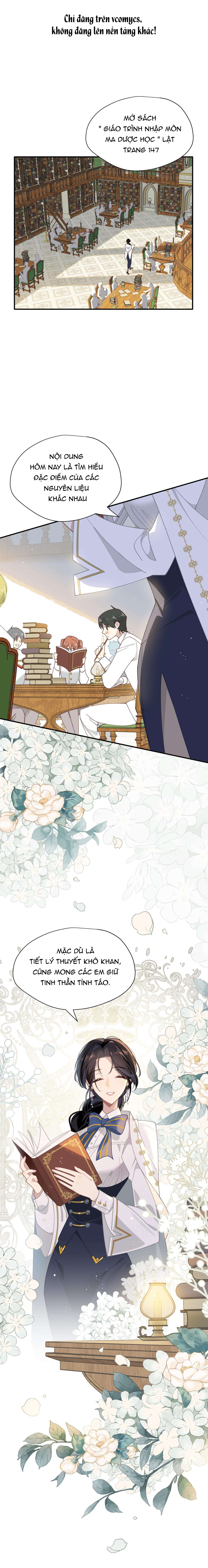 Xuyên thành phù thủy nuôi dưỡng kỵ sĩ thánh điện Chap 59 - Trang 4