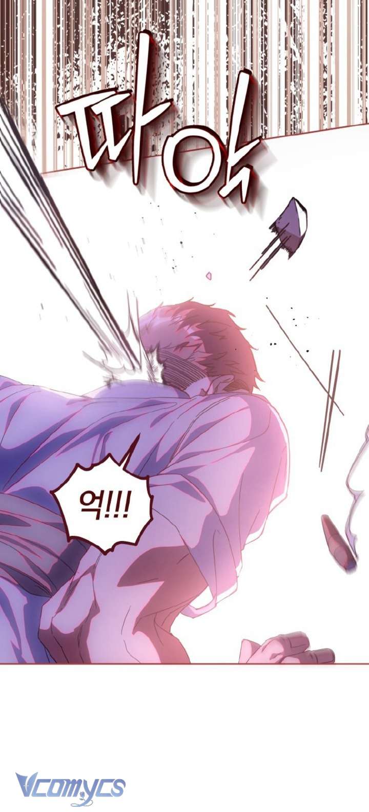 Người Vợ Hắc Ám Của Cậu Chồng Nhỏ Chap 25 - Trang 2