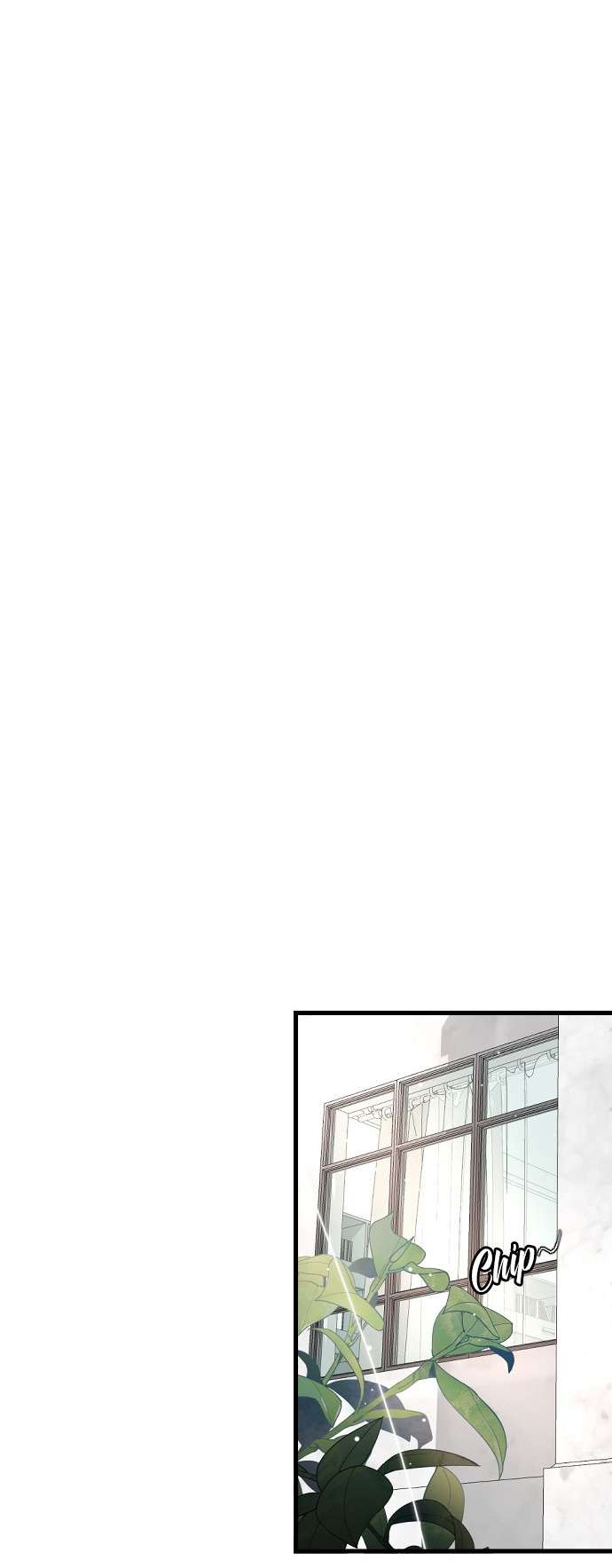 Ba Anh Trai Cực Phẩm Của Tôi Chap 78 - Trang 3