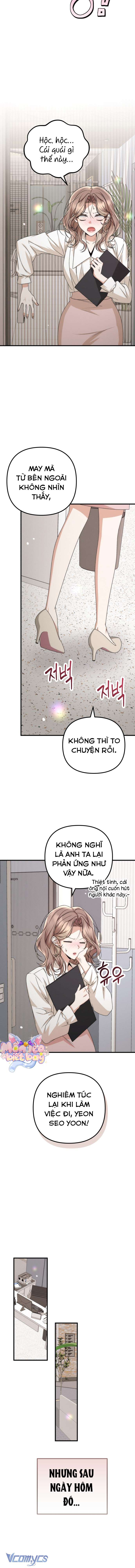 Hợp Đồng Tình Yêu Công Sở Chap 14 - Trang 2