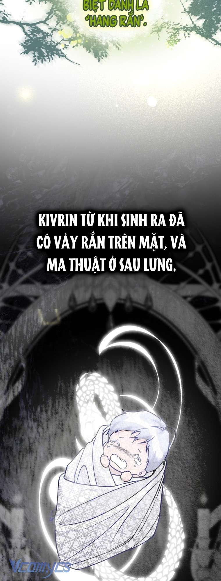 Người Vợ Hắc Ám Của Cậu Chồng Nhỏ Chap 3 - Trang 2