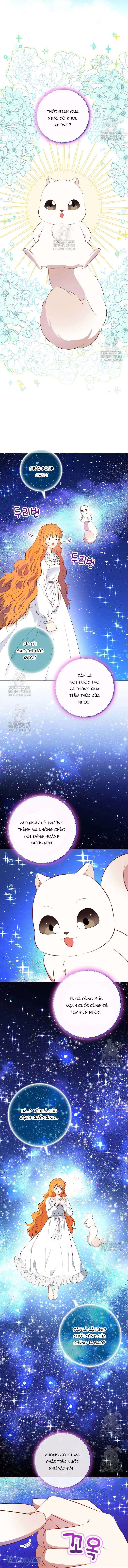 Sóc Con Tài Năng Chap 122 - Trang 2