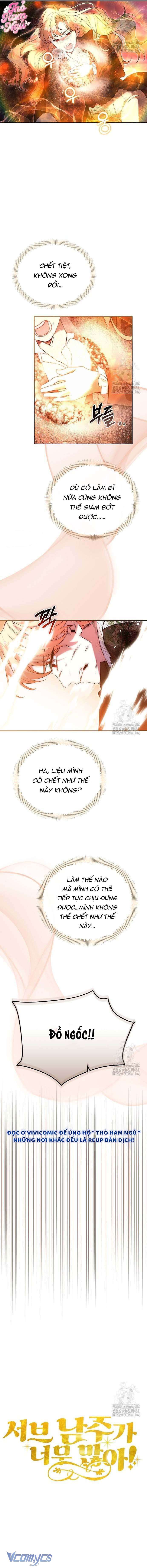 Có Nhiều Nam Chính Quá Đi! Chap 49 - Trang 2