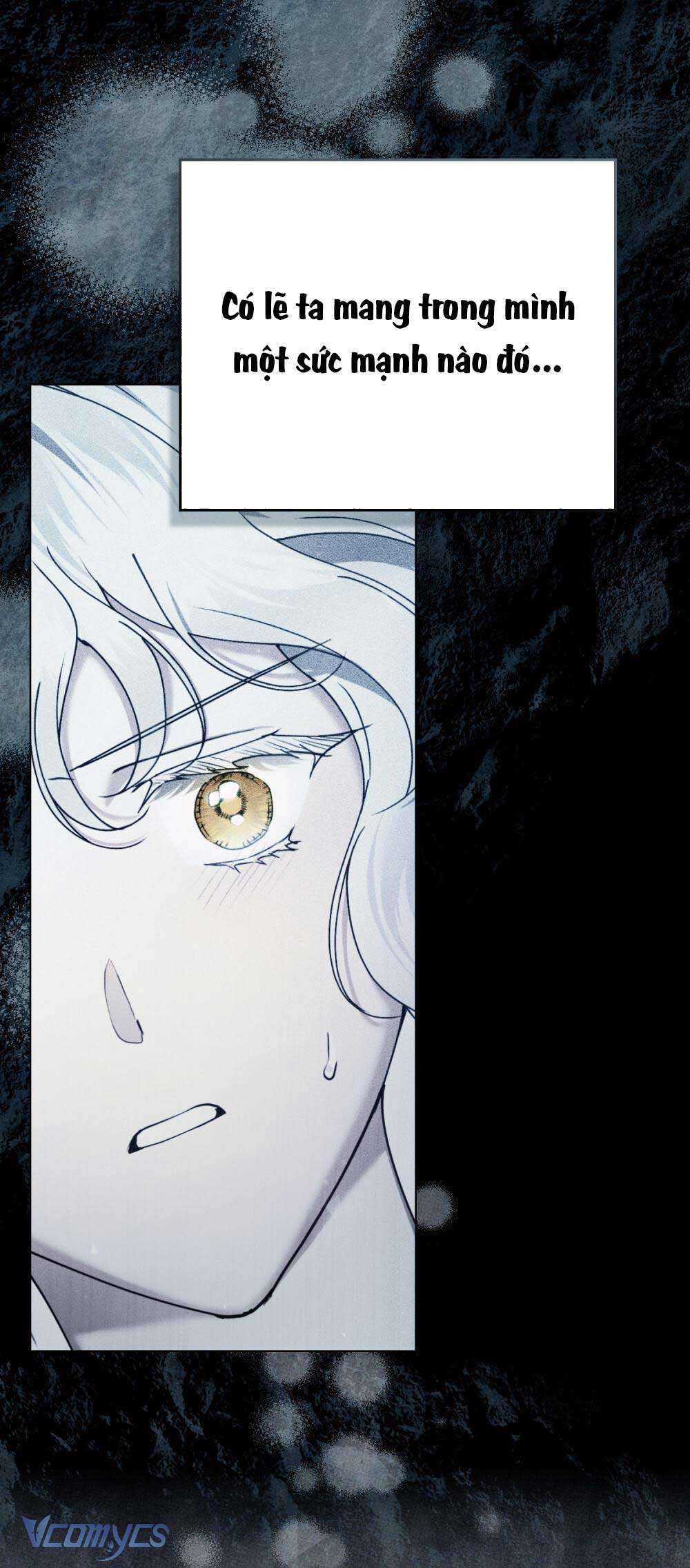 Hôn Nhân Khế Ước Chap 53 - Trang 3