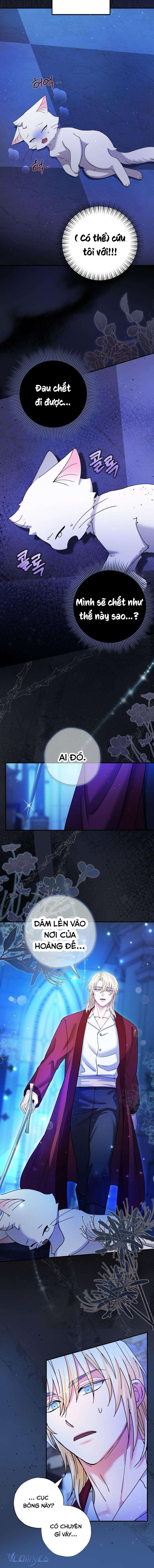 Trở Thành Miêu Nữ Của Hoàng Đế Chapter 4 - Trang 4