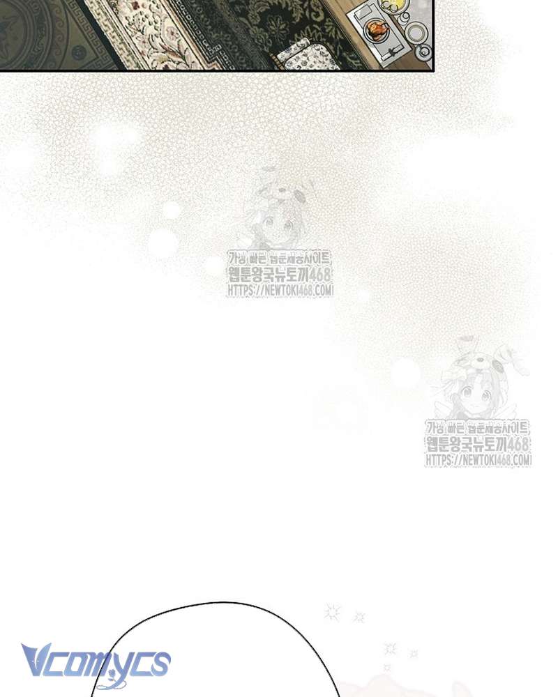 Các Nam Chính Đã Bị Nữ Phụ Cướp Mất Chap 66 - Trang 2