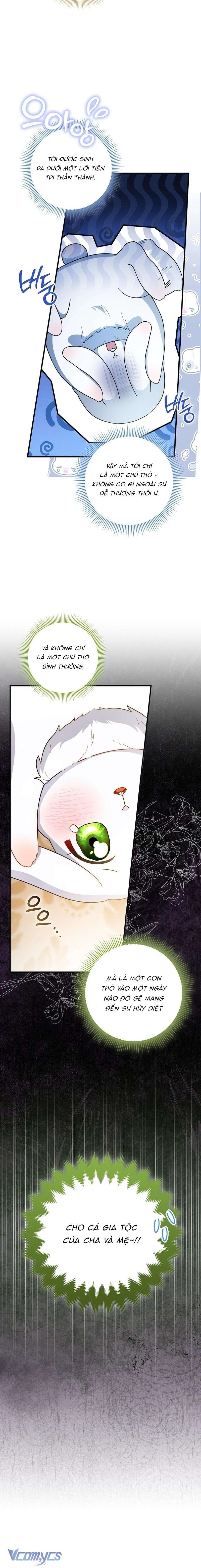Thỏ Á? Rõ Ràng Là Mãnh Thú Cơ Mà! Chap 1 - Trang 3