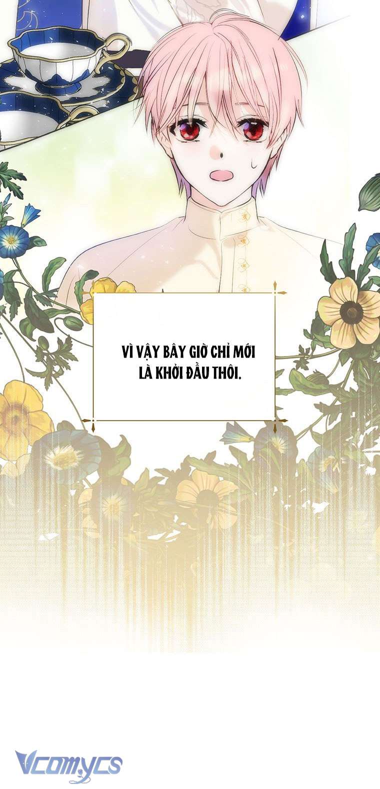 [PNT] Phía Sau Mặt Nạ Của Nam Chính Hiền Lành Chap 17 - Trang 2